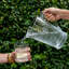Berry & Thread 64 oz. Glass Pitcher
