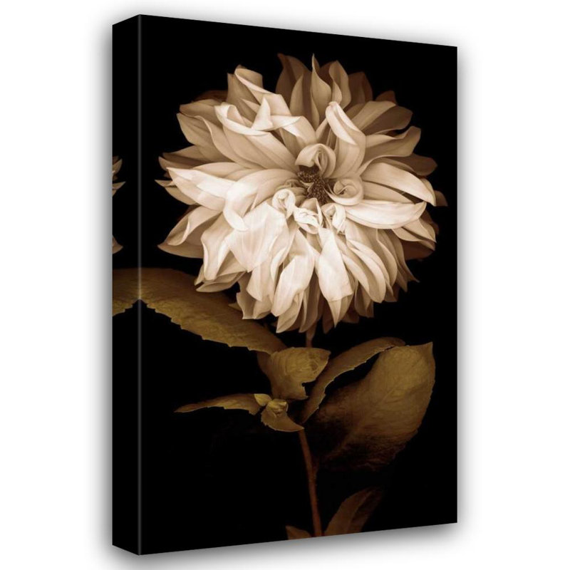 Art sur toile tendue avec galerie Lark Manor ™ Kelly, Caroline, Dahlia I, H 24 po x l 16 po