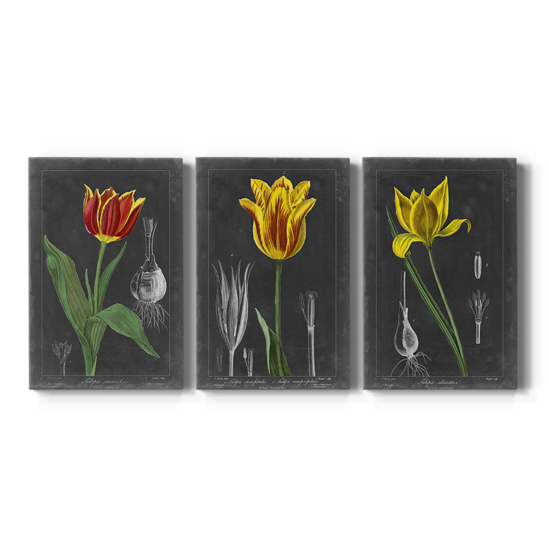 Midnight Tulip IV - Toile tendue avec châssis sur mesure - 3 pièces, H 36 po x l 72 po