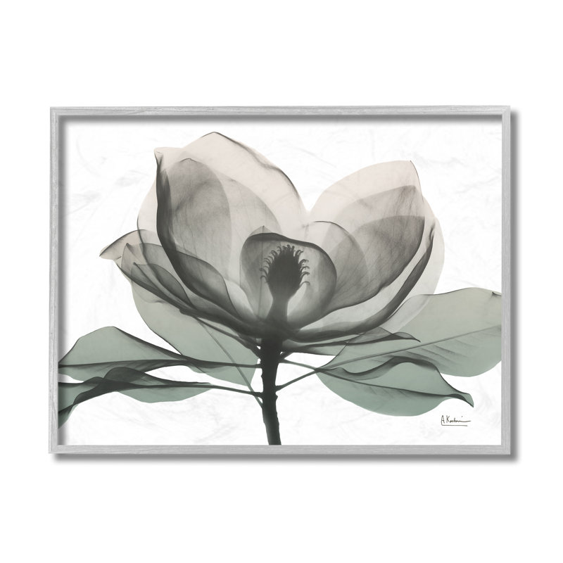 «White Magnolia Flower White Green Silhouette» par Albert Koetsier - impression d'art graphique, H 16 po x l 20 po x 1,5 po