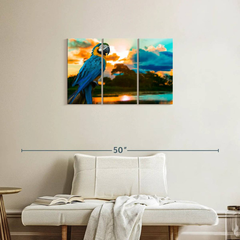 Macaw At Sunset