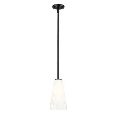 Luminaire suspendu moderne 1 lumière Tomy