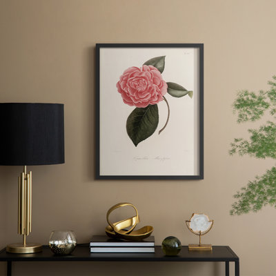 Vintage Floral Print CXLI Framed Print - Solid Wood