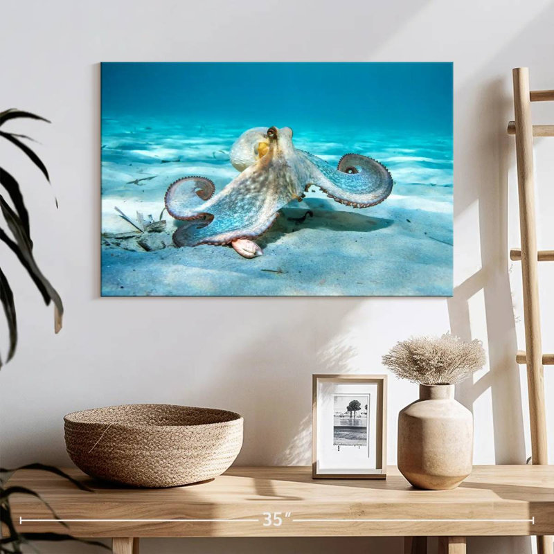 Crowle Roaming Octopus, 16" H x 24" W