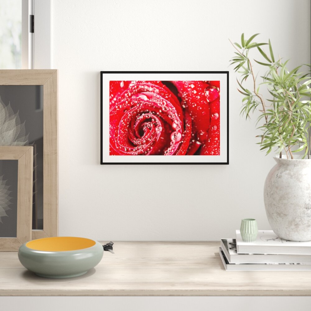 Gerahmtes Poster Rose mit Wassertropfen