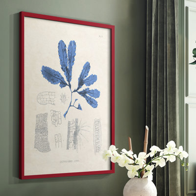 Blue Marine Algae VII, reproduction encadrée - bois massif