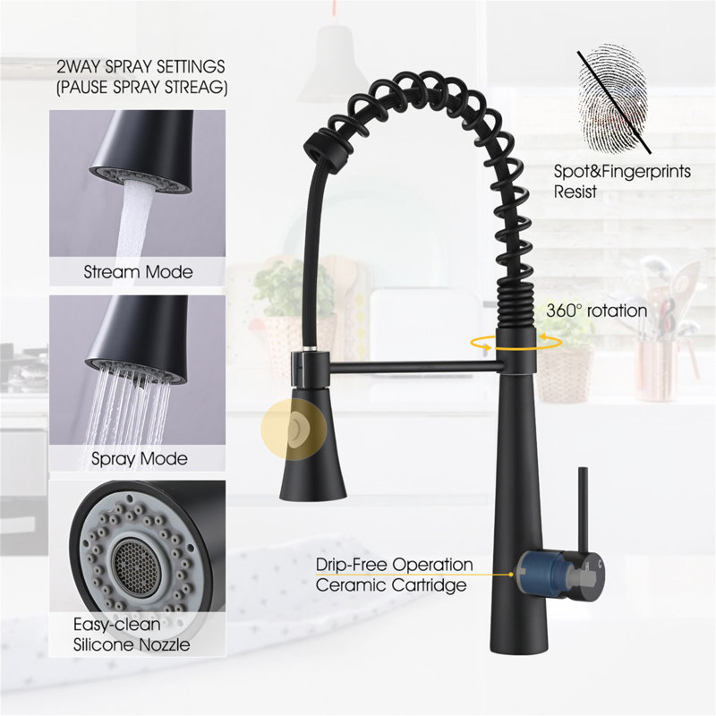Matte Black Stainless Steel Kitchen Faucet with Pull Down Sprayer