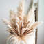 20 " Preserved Mixed Floral Arrangement