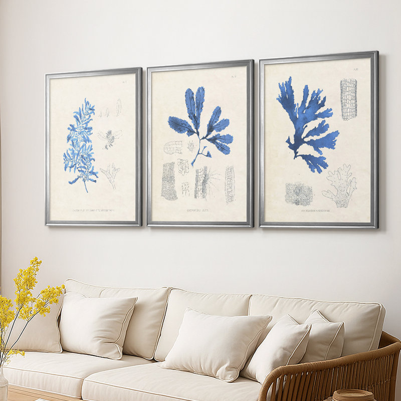 Blue Marine Algae VI - Toile tendue avec châssis sur mesure - 3 pièces, H 21 po x l 30 po, Argent argent