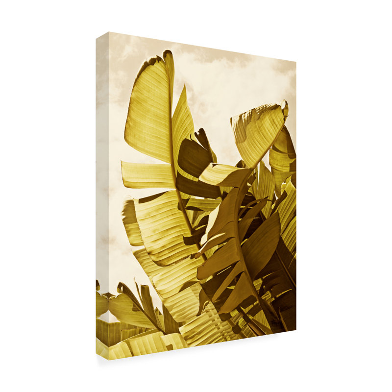 Toile d'extérieur Rachel Perry «Palm Fronds II», H 19 po x l 14 po x P 1,5 po