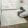 Tankut Abstract Indoor Rug