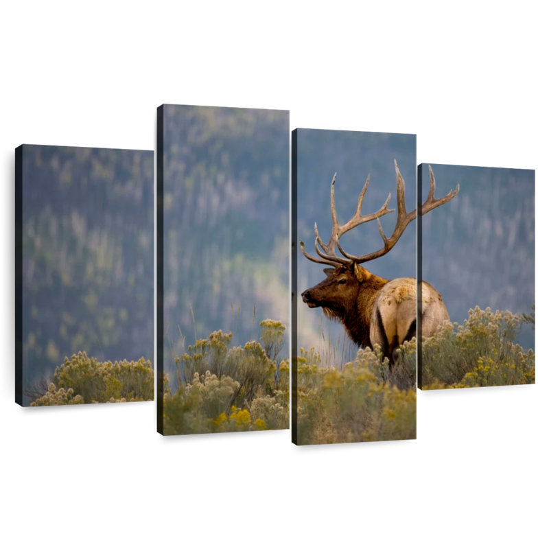 Brampt Huge Bull Elk, 27" H x 43" W
