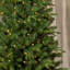 Dakota Pine 6ft Artificial Christmas Garland, Pre-lit  50  Dual LEDs Lights w/ 9 Functions (Battery-Operated)