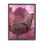 "Abstract Abstract", "Tulipe vieillie", collage par Michelle Oppenheimer - cadre flottant, impression sur bois