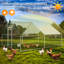 Parc à poules Dannish-88681573