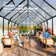 10' W x 16' D Greenhouse