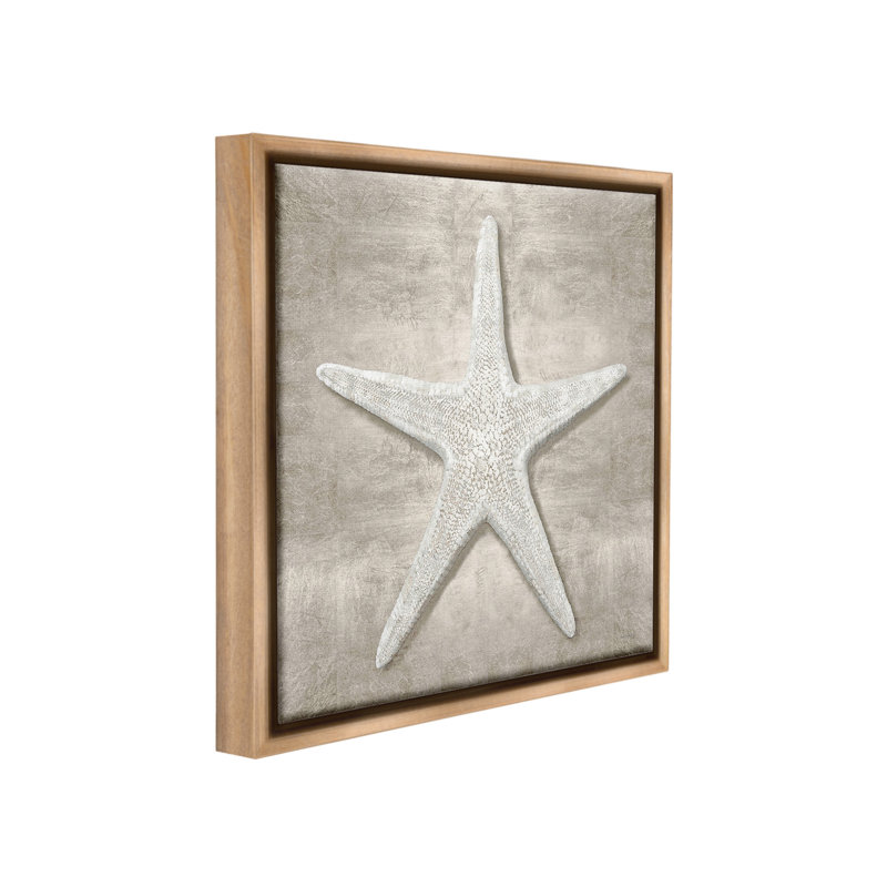 «Rustic Gray Starfish Floater Frame» par Amber Sterling sur toile, H 25 po x l 25 po, Cadre flottant orme Montalcino