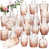 Orange rose est en rupture de stock sélectionné