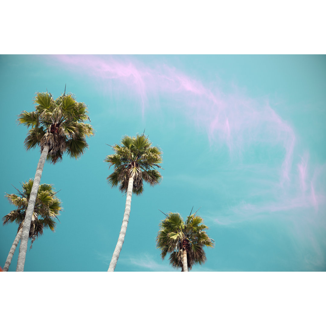 Retro Styled Palm Trees von JulNichols - Leinwanddrucke