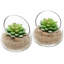 Glass Terrarium