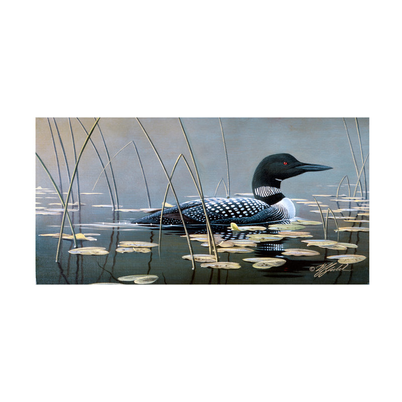 Art mural sur toile tendue - «Loon In Reeds» de Wilhelm Goebel pour décoration de salon, de chambre à coucher ou de bureau - 24 x 47
