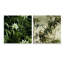 Bamboo Elegance Tropical Motif I - Ensemble d'art mural acrylique sur verre Coastal Tropical-103926376