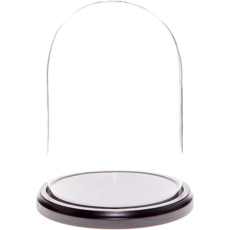 Vucciria 5.5" x 8" Glass Display Dome Cloche, Black Wood Base