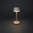 Lyon Cordless Table Lamp - USB Rechargeable, RGB Dimmable LED, Elegant Design-110764324