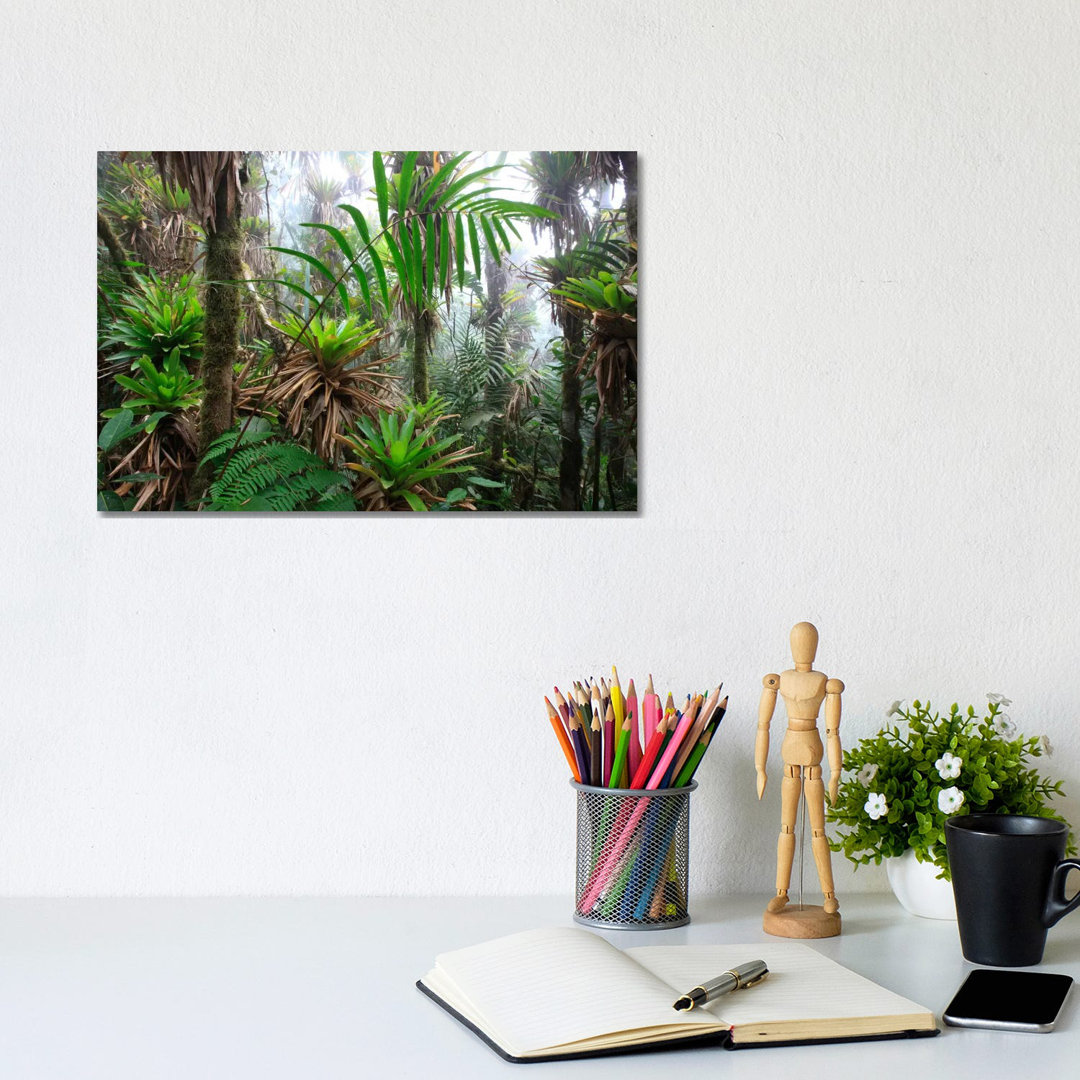 Bromeliad And Tree Fern At 1600 Meters Altitude In Tropical Rainforest, Sierra Nevada De Santa Marta National Park, Colombia III by Cyril Ruoso - Wrap
