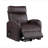 Ricardo Brown Synthetic Leather Power Motion Recliner W/Lift-291655439