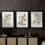 Antique sépia botanicals I - impression encadrée sur mesure de qualité supérieure - 3 pièces-810536290-810536289