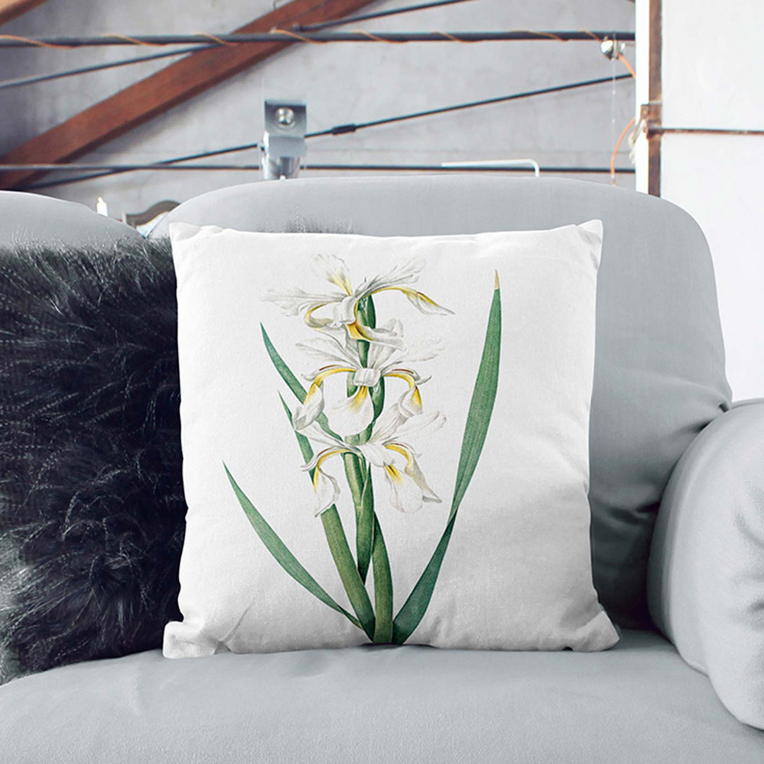 Banded Iris Flowers by Pierre-Joseph Redoute Cushion with Filling