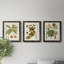 Feuilles antiques I - ensemble de 3 peintures sur toile encadrées-371832425-371832404