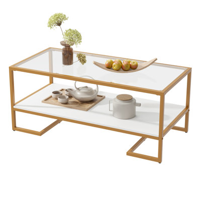 Coffee Table, 2 Tier Tempered Glass Coffee Table, Rectangle Modern Center Table With Metal Frame, Glass Accent Table Open Storage Shelf For Living Roo by Mercer41