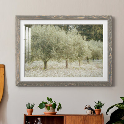 " Paintograph Olive Trees "