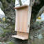 Izaguirre Mounted Bat House