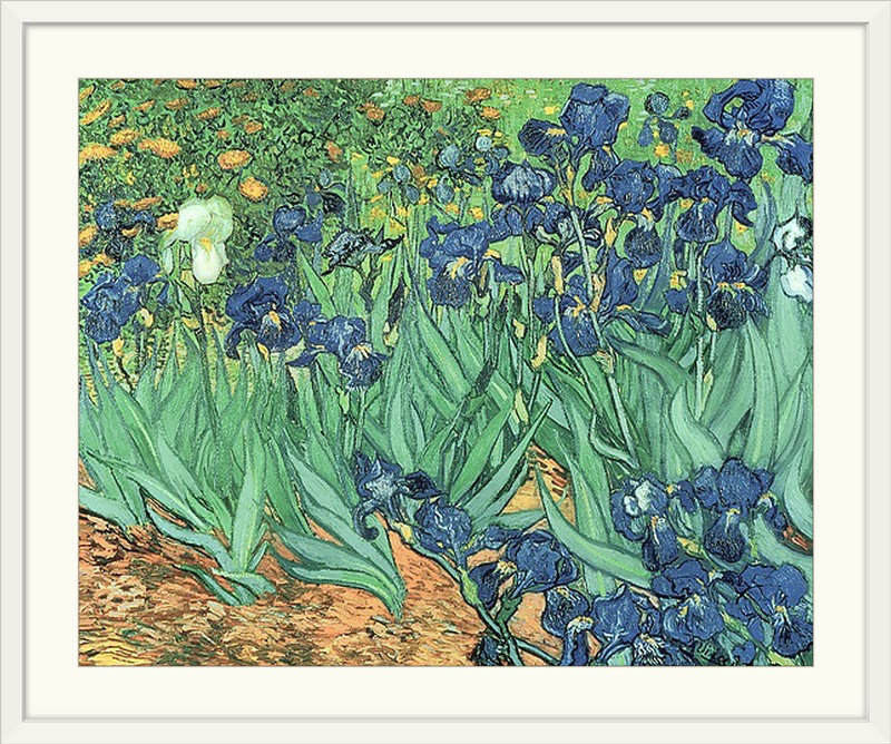 «Irises, 1889» par Vincent Van Gogh - reproduction, H 27 po x l 32 po x P 1 po, Cadre blanc