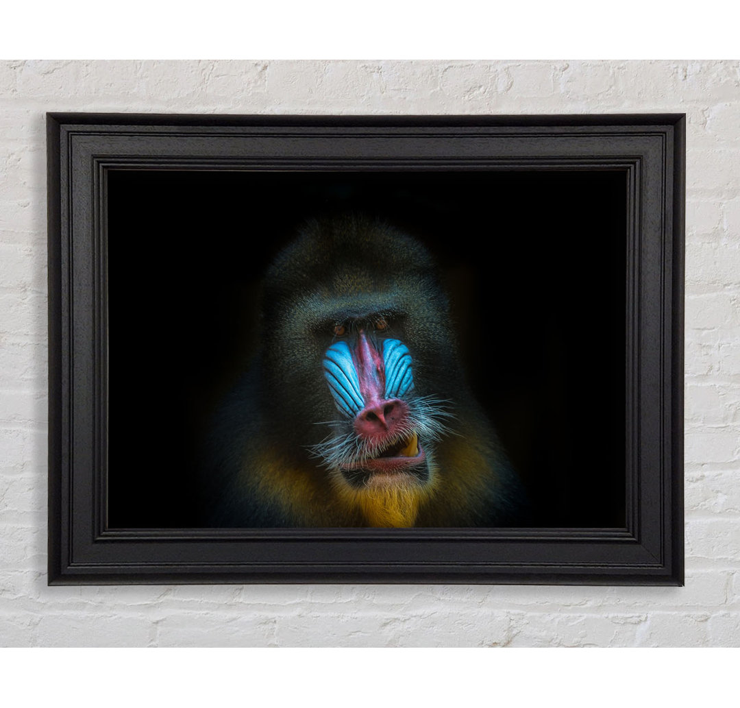 Mandrill Anger - Drucken