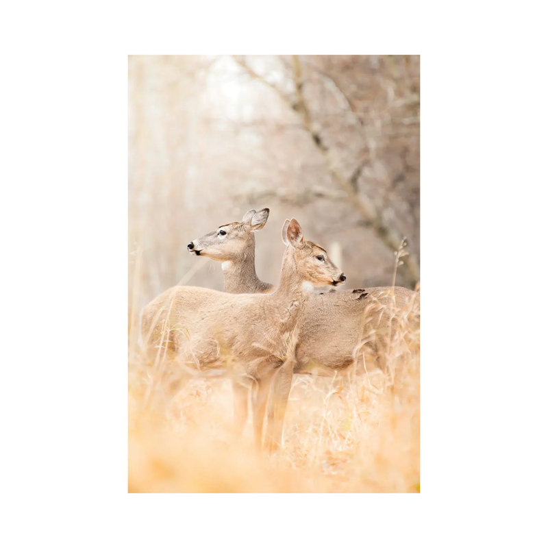 Portrait de maman et de fauve, cerf, H 26 po x l 18 po x P 1,5 po