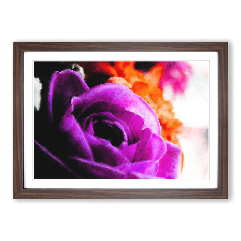 Purple Rose Flower Vol.5 - Framed Print, 27cm H x 36cm W x 2cm D, Walnut Framed