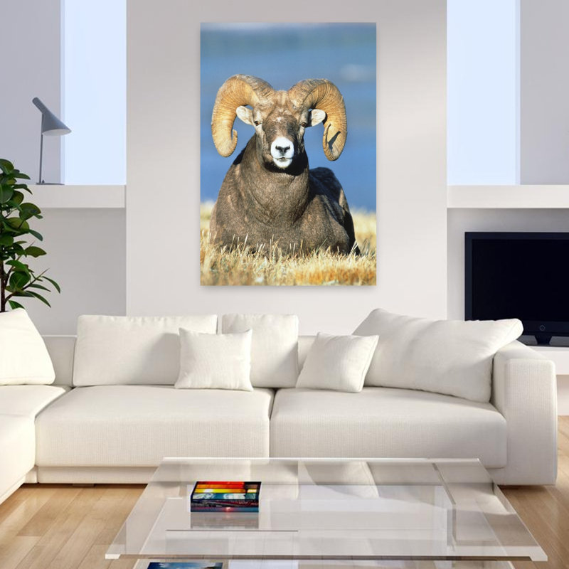 Big Horn Ram Classic Retro Vintage Animal Nature Wall Art, H 48 po x l 32 po