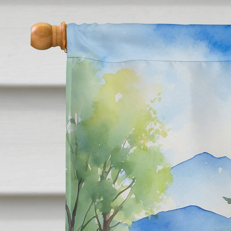 Gallivat Double Sided 40'' H x 28'' W Polyester House Flag