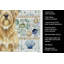 Serviette de cuisine Wheaten and Tan Otterhound Coastal-1209194218