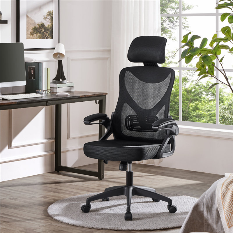 Joyti Ergonomic Task Chair with Headrest and Flip-up Armrest Lumbar, Black, Black