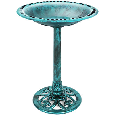 Bird Bath