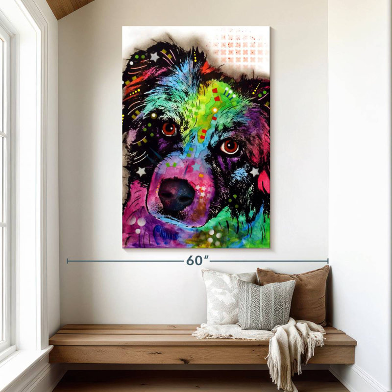 Brampt Aussie, 51" H x 34" W