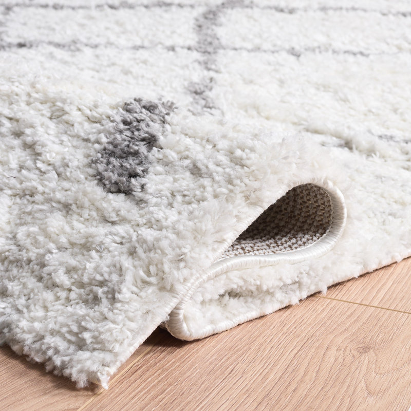 Tapis à poils longs Zettie, Rectangle 5 pi x 7 pi