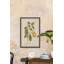 «The Lemon Tree», reproduction encadrée-715637316