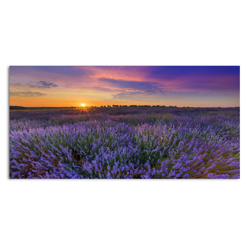Lavender Field Sunset Landscape II - photographie sur toile, H 8 po x l 12 po x P 1 po, Toile tendue