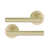 Satin Brass